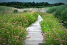 Mentor Marsh Boardwalk1 Orig