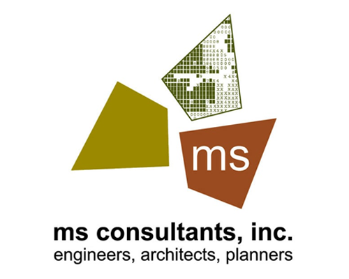 ms consultants